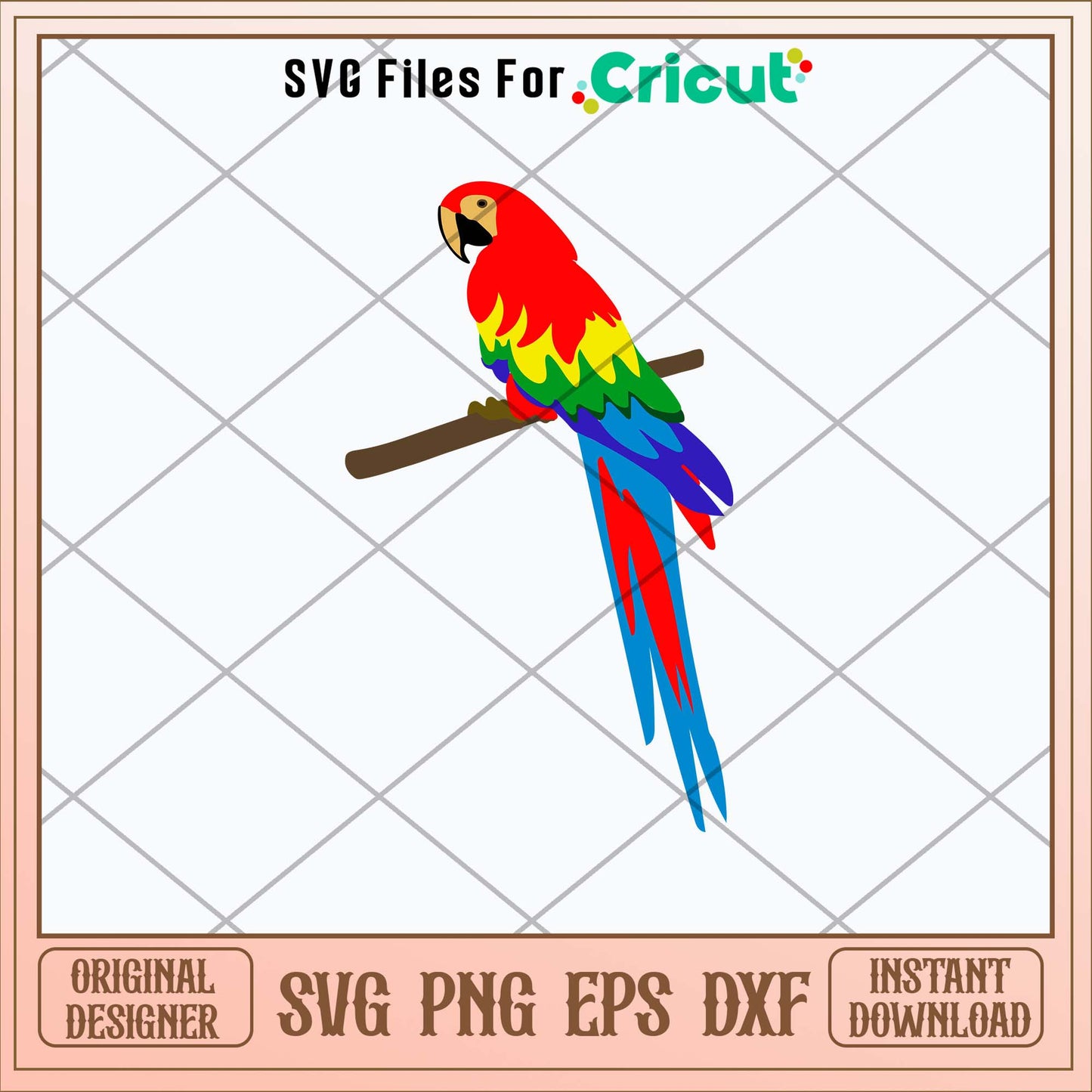 Parrot Colorful Svg, Png Dxf Eps File-Svgfilesforcricut