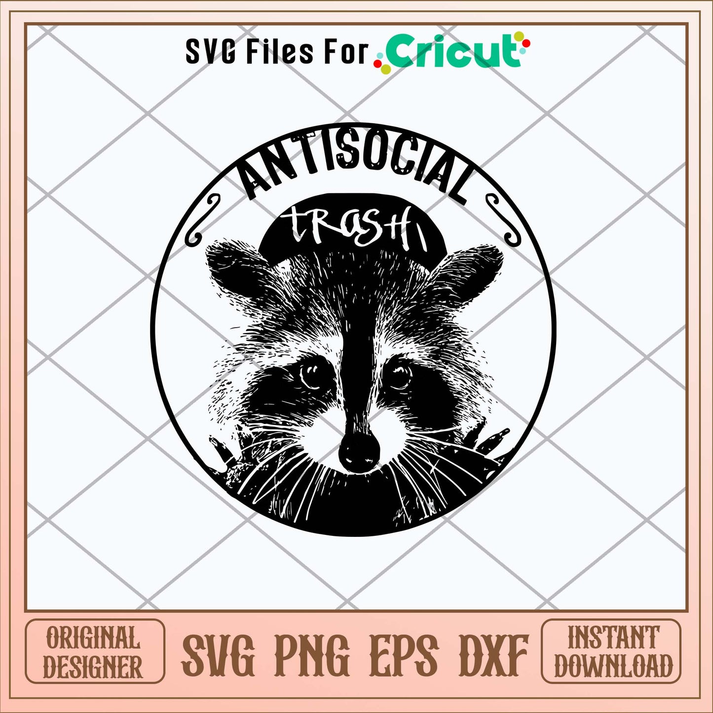 Raccoon Anti Social Svg, Raccoon Svg-Svgfilesforcricut