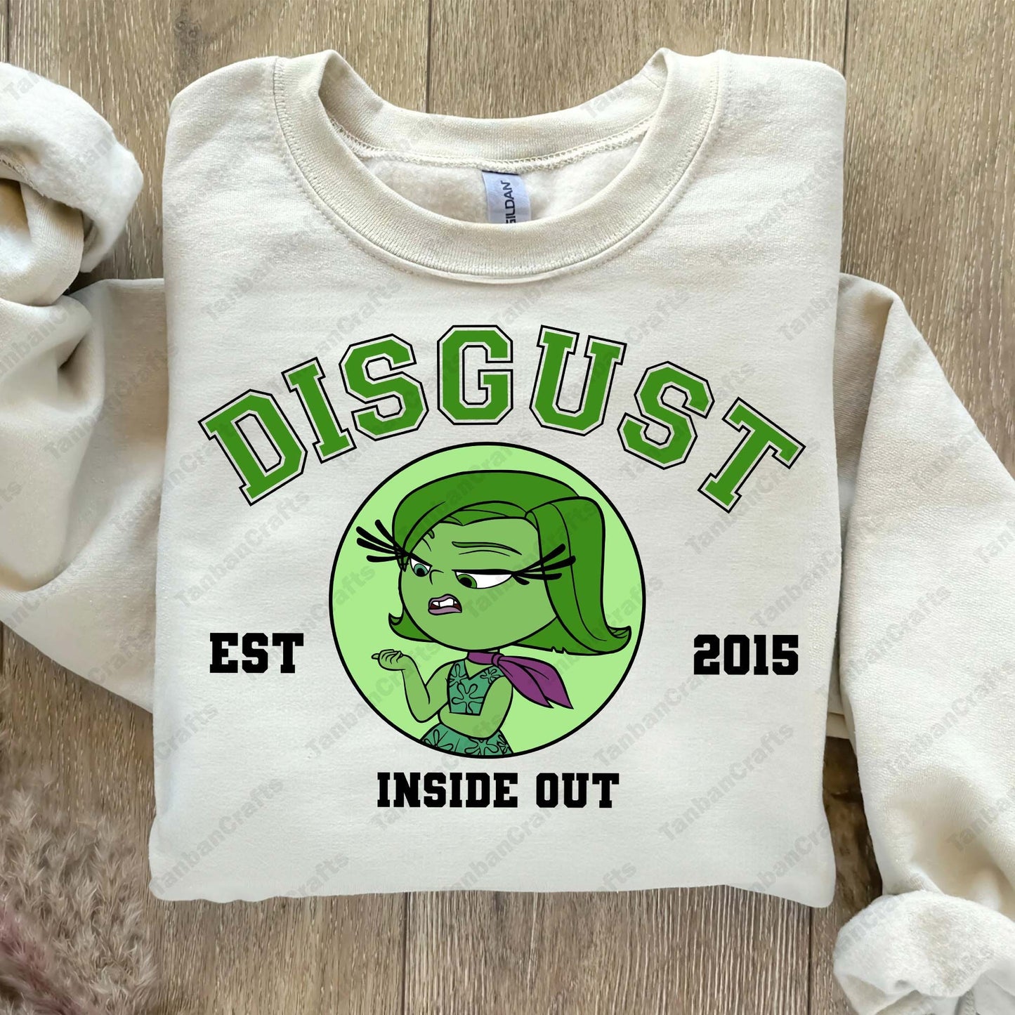 Inside out est 2015 PNG bundle