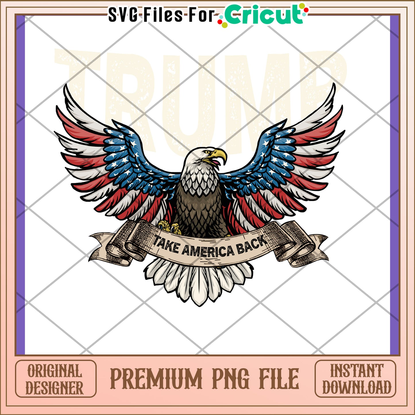 American Eagle PNG Take America Back