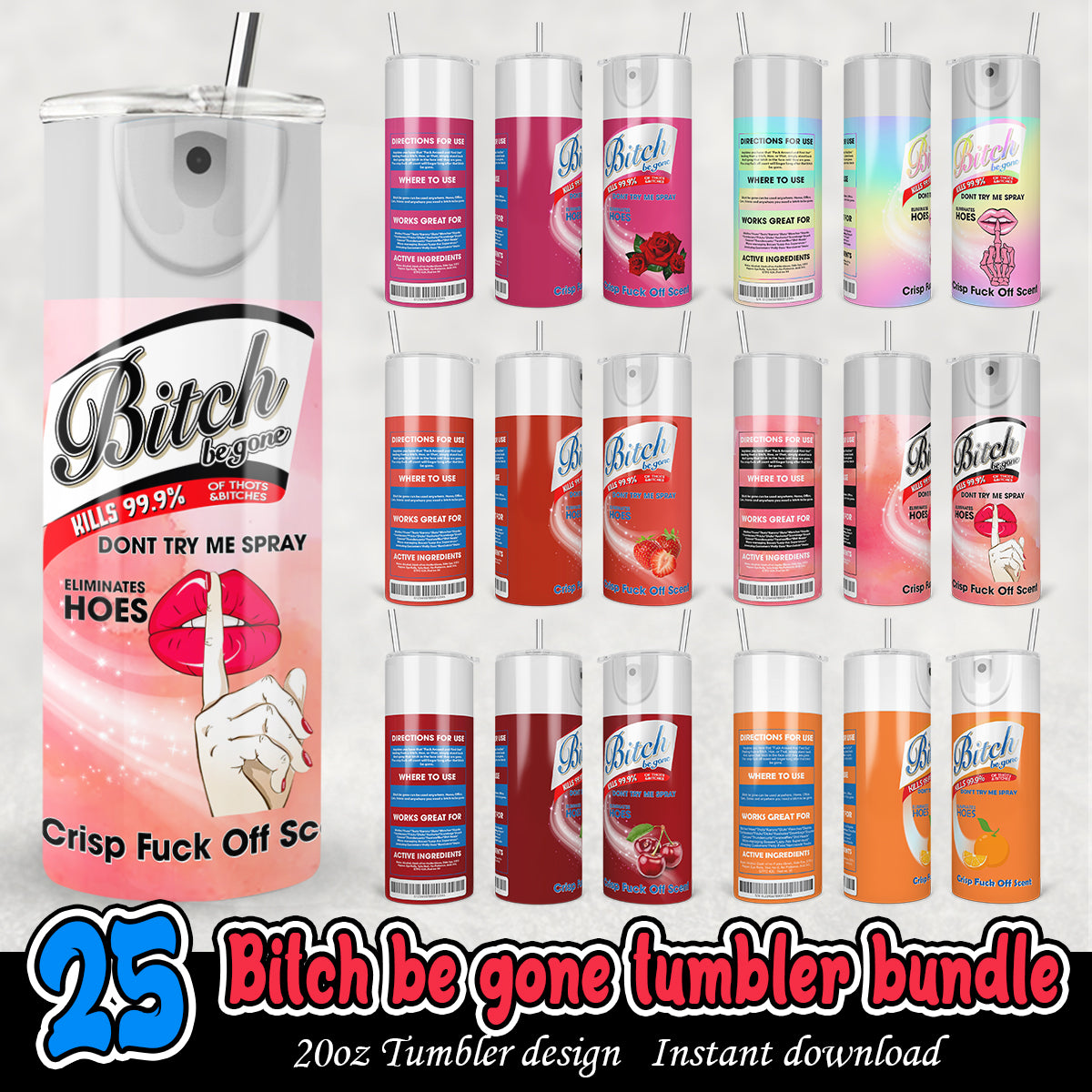 Bitch Be Gone Tumbler bundle, Bitch tumbler png bundke