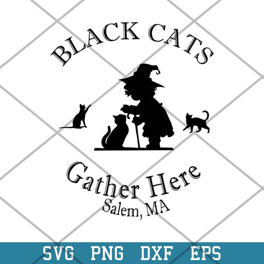 Black Cats Gather Here Salem Ma Halloween Svg, Halloween Svg-Svgfilesforcricut
