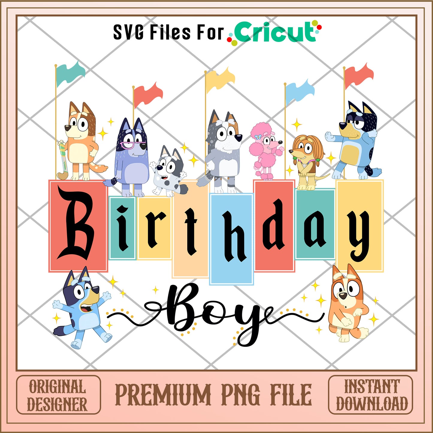 Bluey and friends birthday boy cartoon png