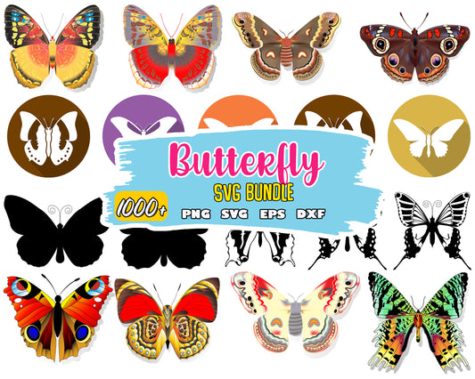 Butterfly design bundle svg, cricut butterfly svg​, svg butterflies​