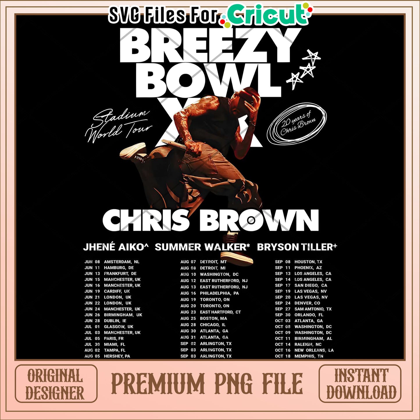 Chris brown world tour white png, rnb concert design png, hip hop event graphic png