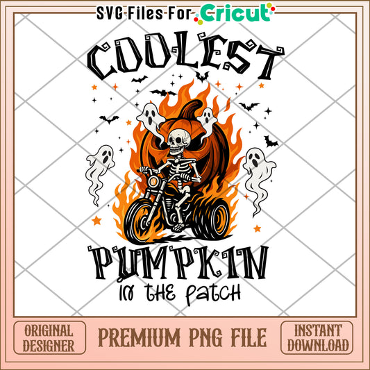 Coolest pumpkin in the patch png, halloween design png, horror halloween png