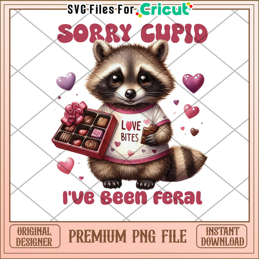 Cute Raccoon Valentines PNG
