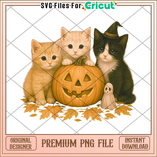 Cute cats halloween png, spooky sesason png, halloween toys​ png