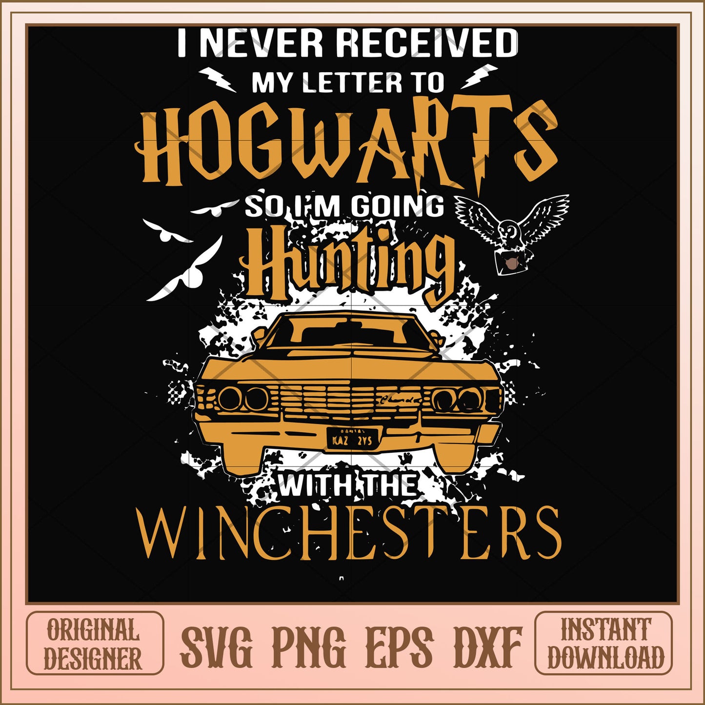 I never received my letter to Hogwarts svg, hogwards svg, funny svg