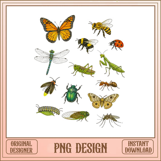 Insect Clipart PNG Bundle, Butterfly Dragonfly Bee, Bug Collection PNG