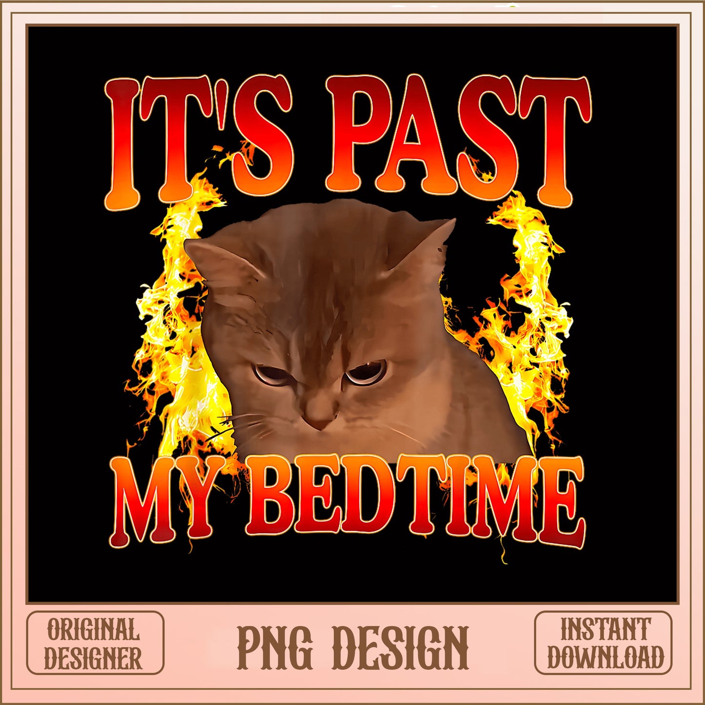 Its Past My Bedtime Funny Cat PNG, Grumpy Cat Meme PNG, Cat Lover PNG
