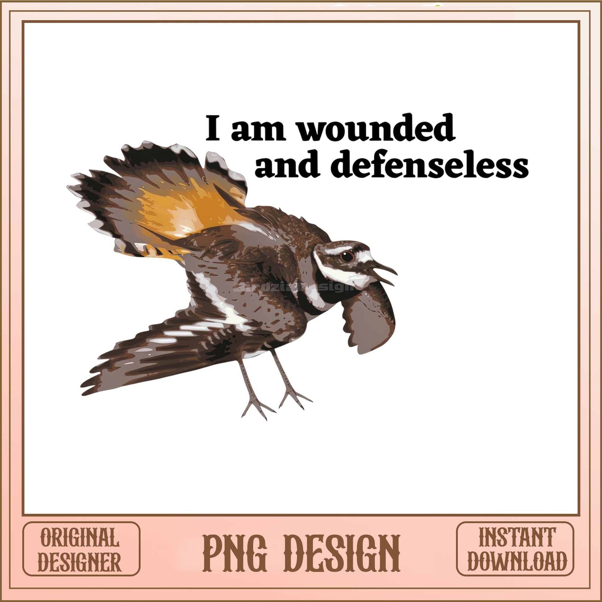 Killdeer I Am Wounded And Defenseless, Funny Bird, Meme PNG