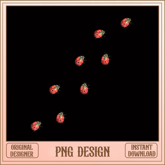 Ladybug Clipart Bundle PNG, Cute Ladybug PNG, Insect Clipart PNG