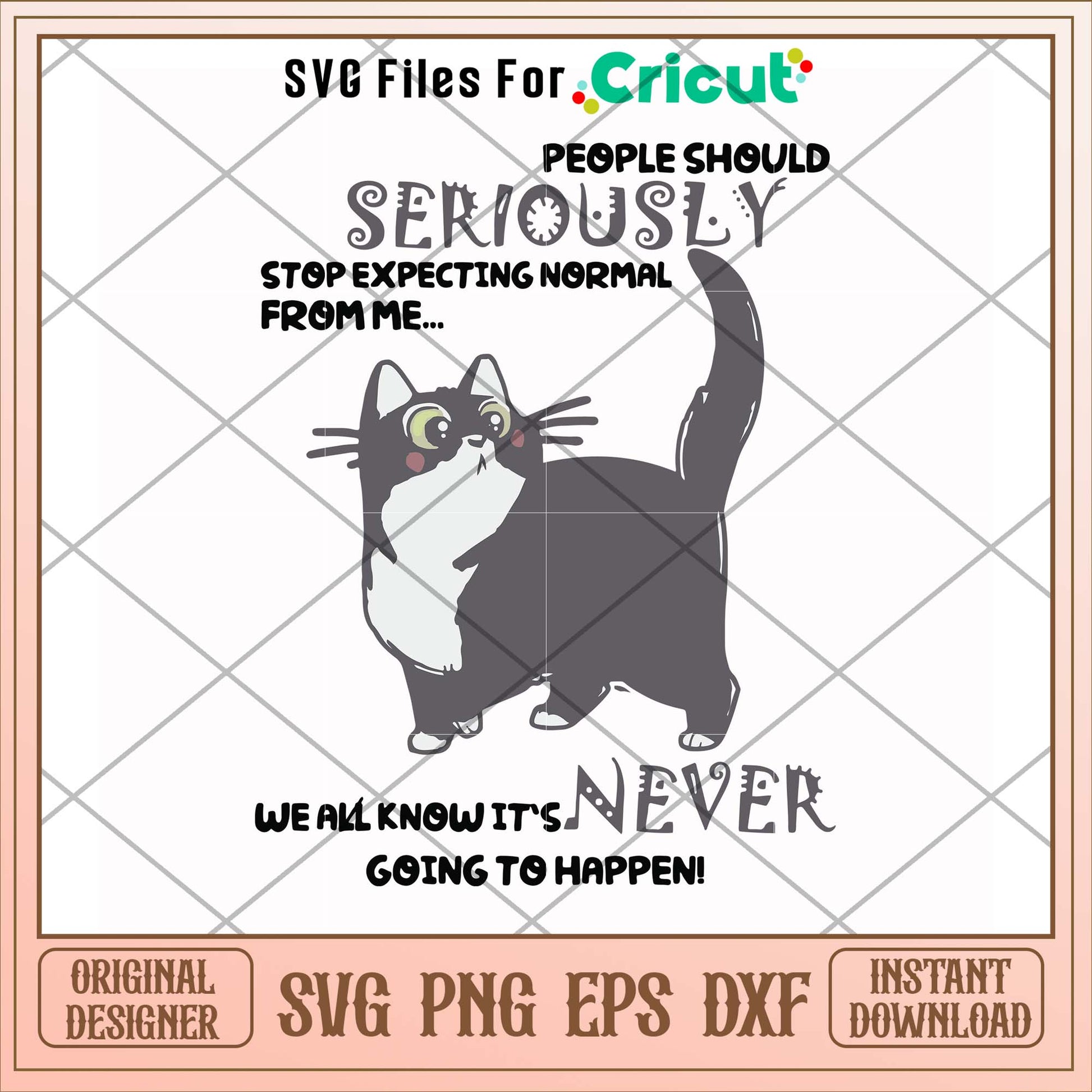 People should seriously stop expecting cat svg, cat svg, funny svg
