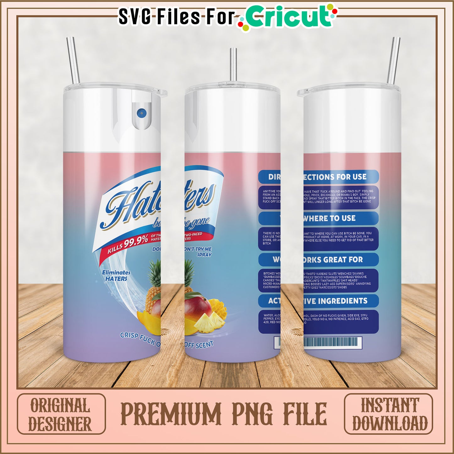 Premium Haters Be Gone Tumbler PNG File for Cricut Projects