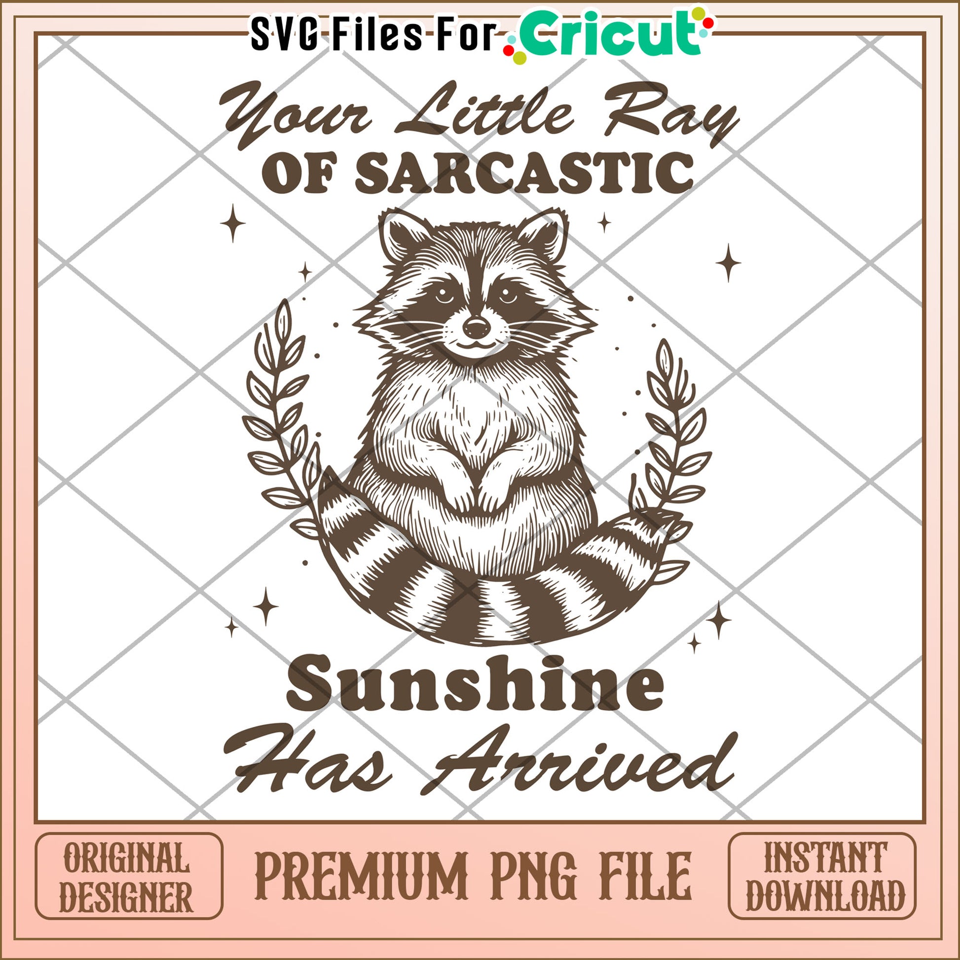 Sarcastic Raccoon PNG Sunshine Has Arrived