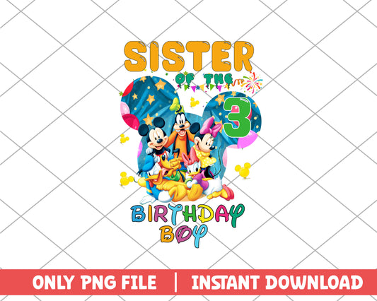 Sister of the birthday boy three disney png