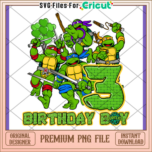 Teenage Mutant Ninja Turtles Birthday PNG