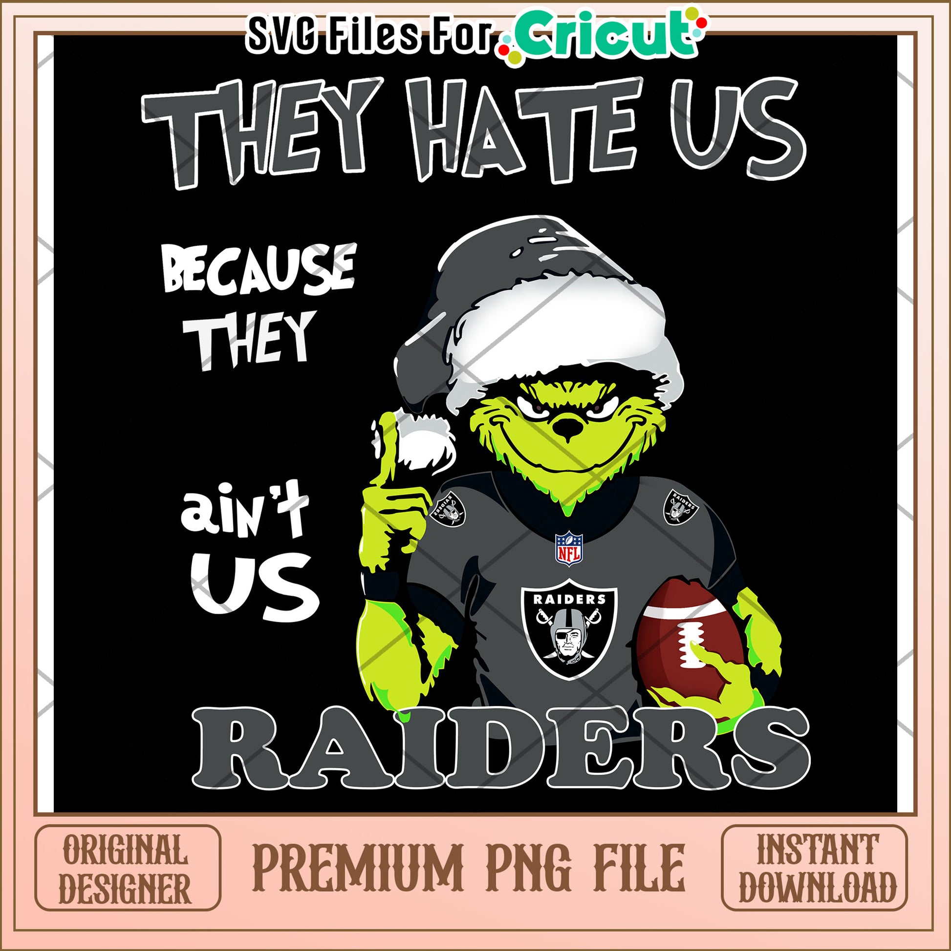 They Hate Us Raiders PNG Design, Perfect for Cricut Projects