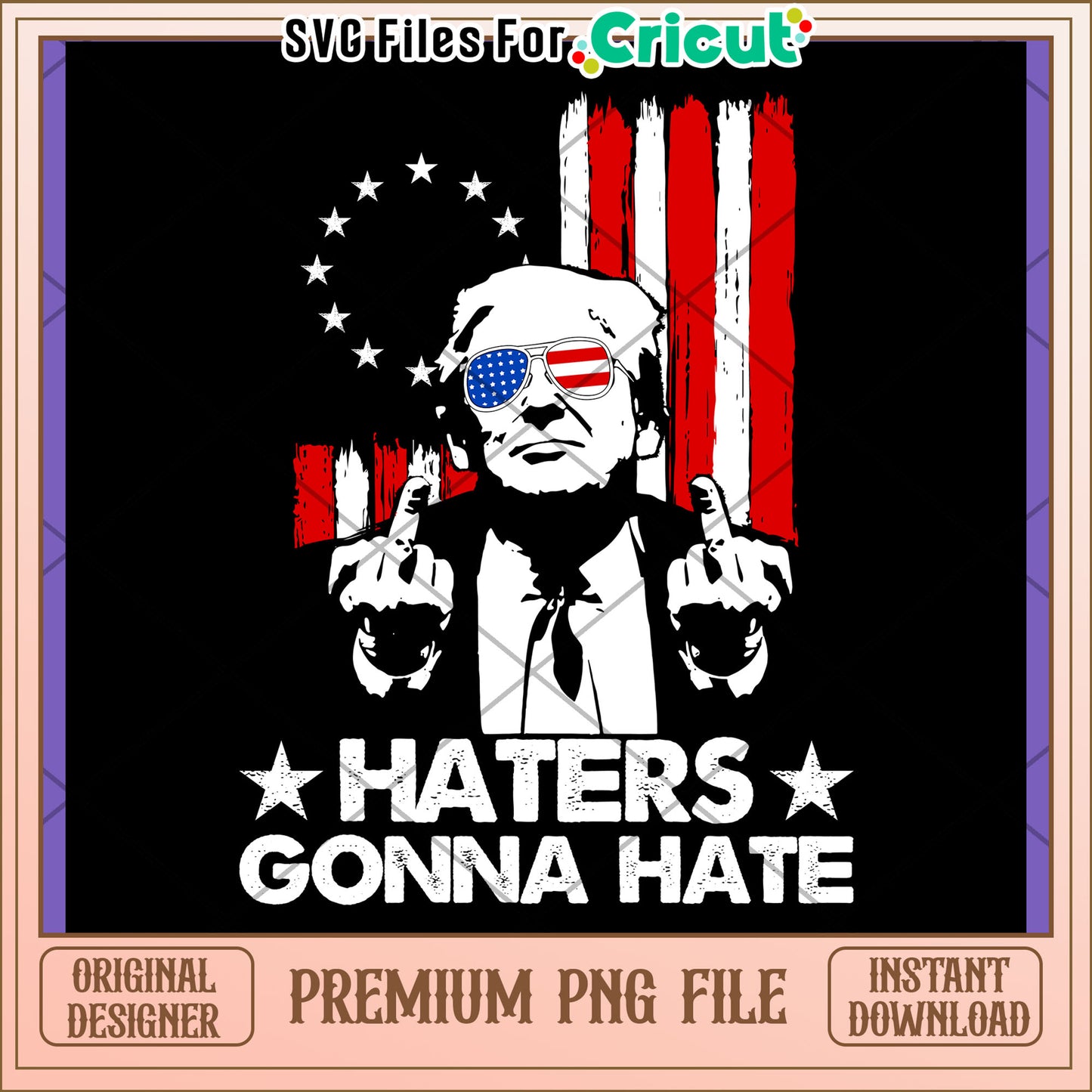 Trump Haters Gonna Hate PNG