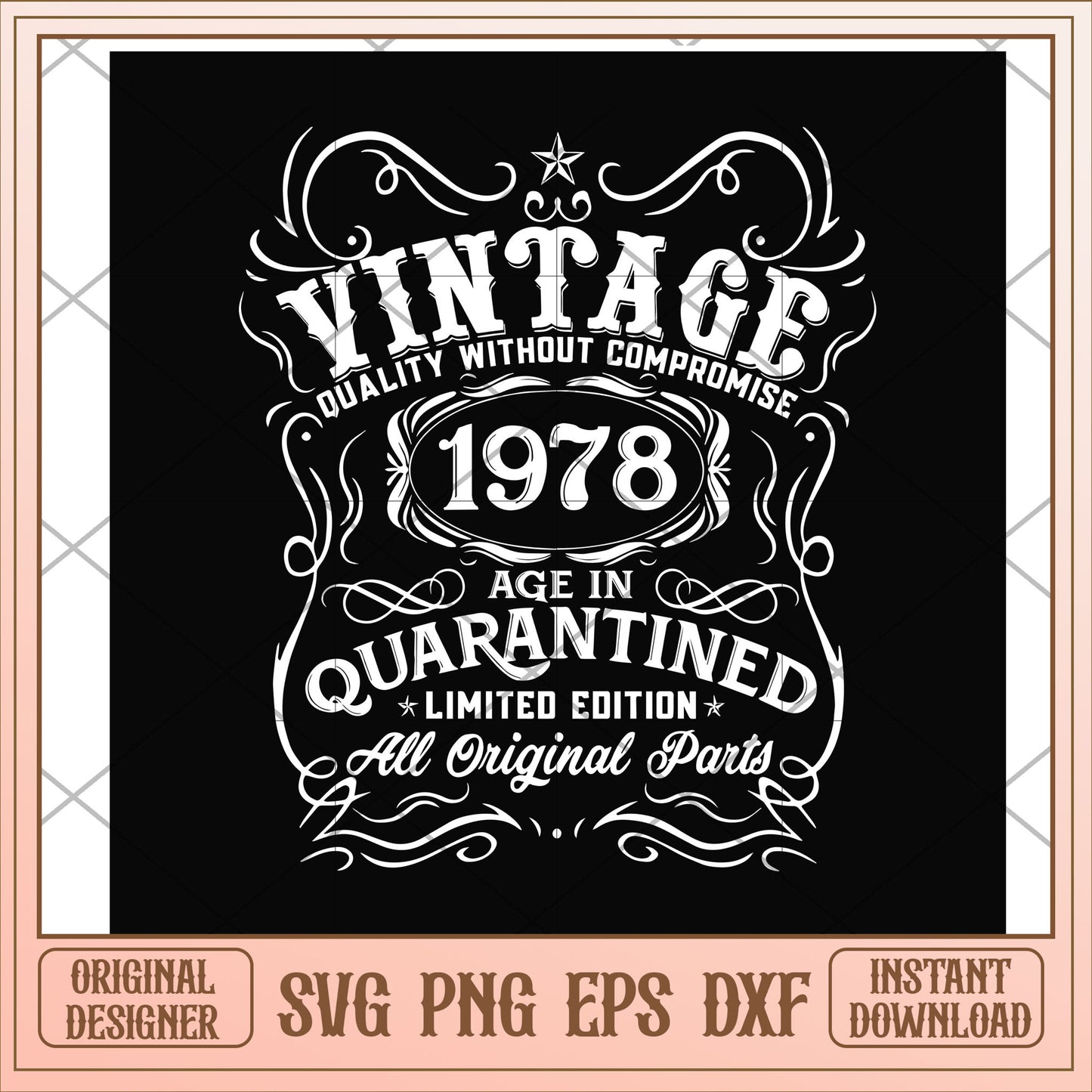 Vintage 1978 age in quarantined limited edition svg, Vintage 1969 svg, camping svg