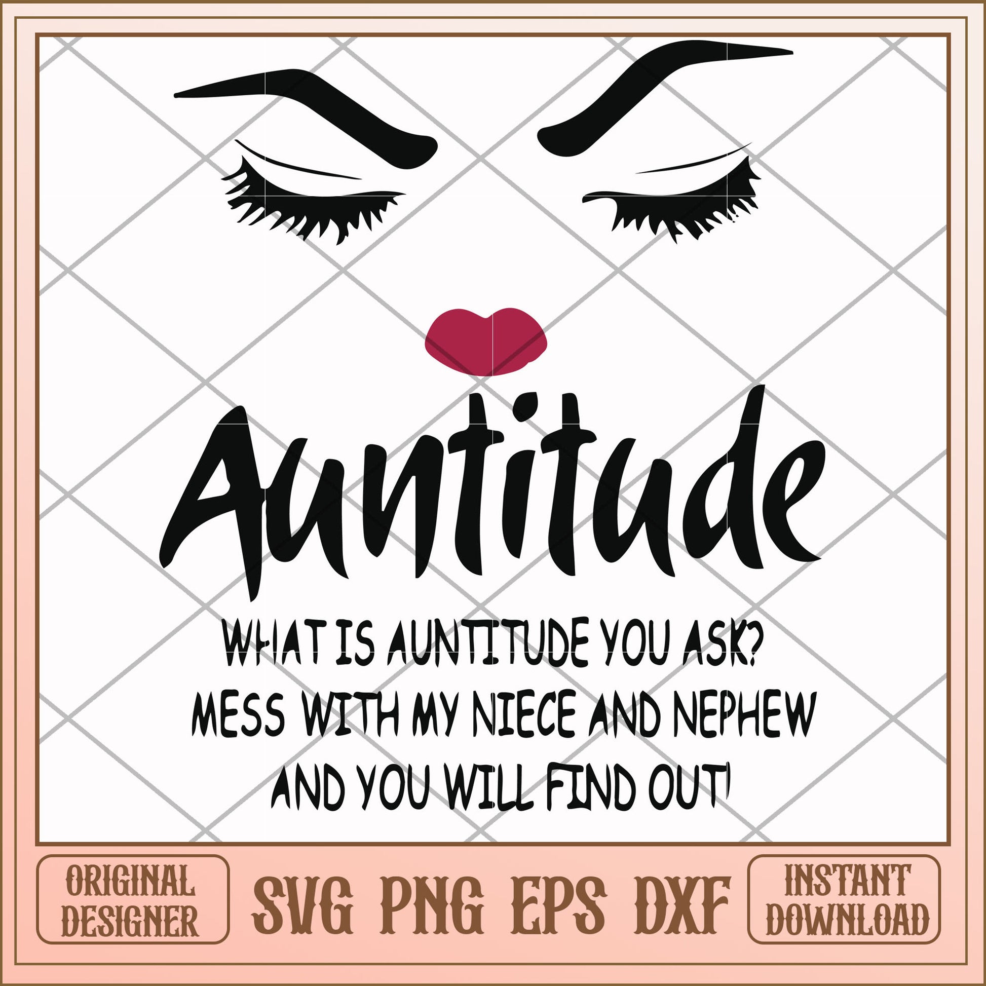 What is auntitude you ask mess with my niece svg, auntitude svg, funny svg