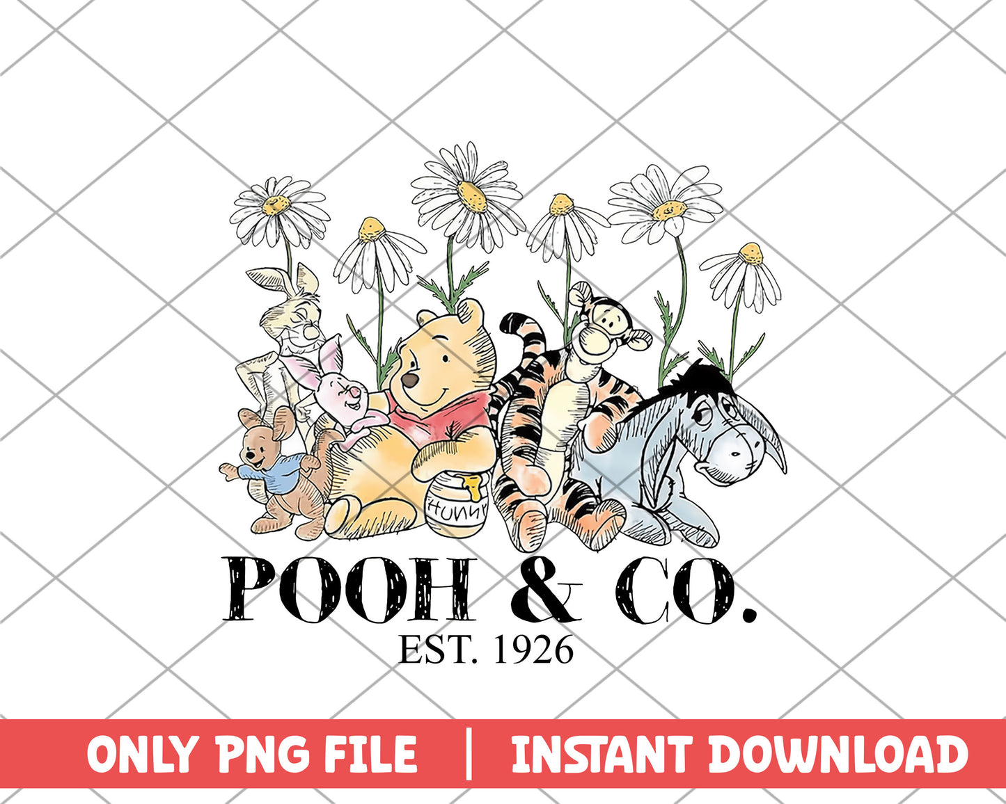 Winnie the pooh & co disney png